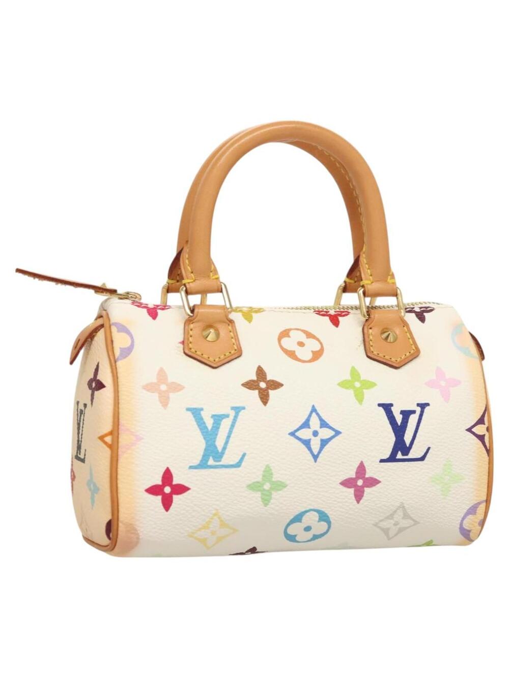 Louis Vuitton Multicolor Mini Speedy #359349L98B